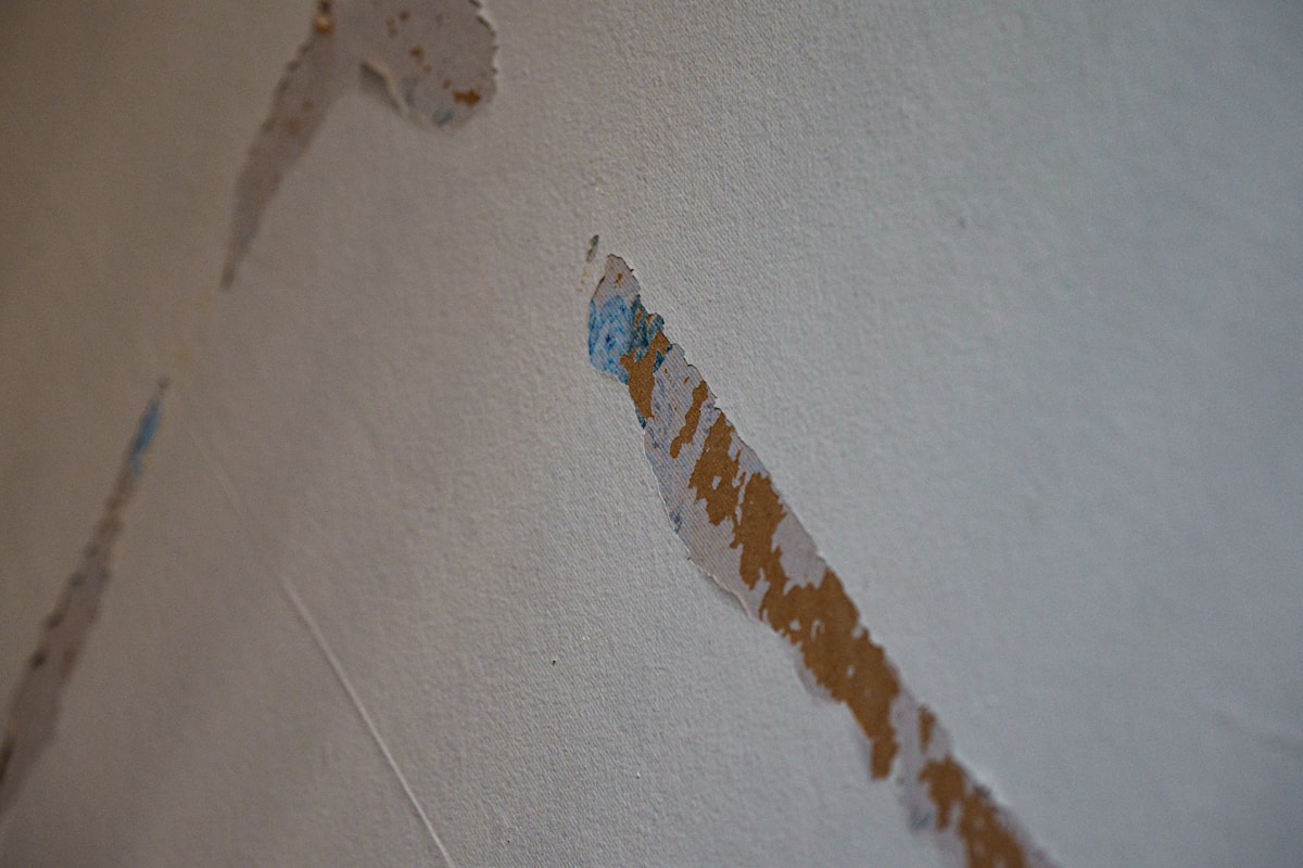 Storm Damage Repair service in Aspen Hill, MD